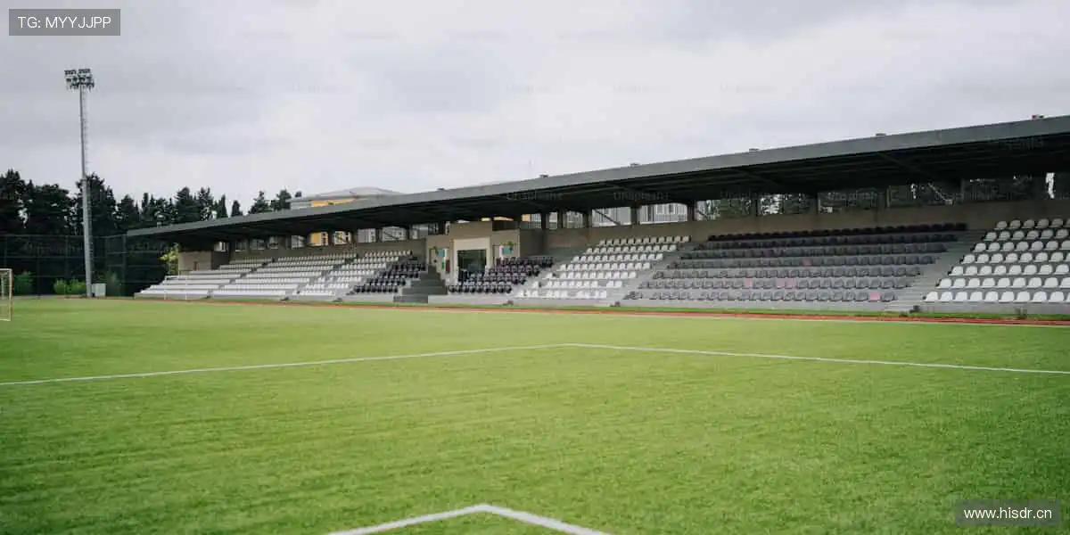 👕球迷专属,个性定制!每一件周边,都是热爱的勋章🎁